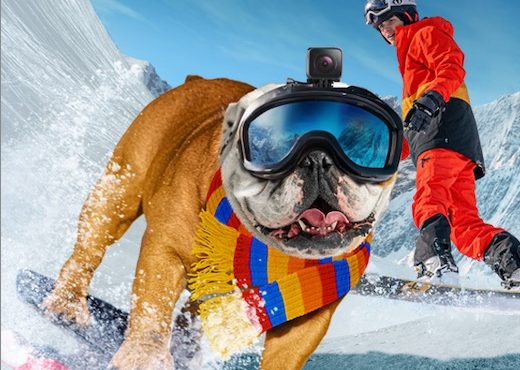 دانلود فیلم Powder Pup 2024 سگ اسکی باز با دوبله فارسی