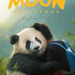 دانلود فیلم Moon le panda 2025 پاندایی به نام مون با دوبله فارسی