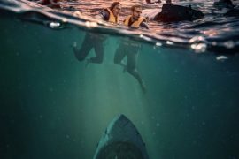 دانلود فیلم آب‌های عمیق Deep Water 2026  زیرنویس چسبیده