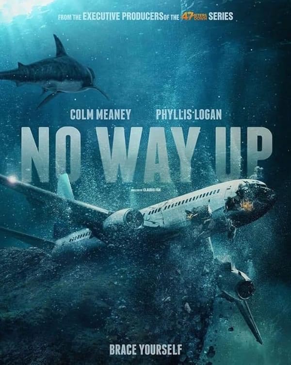 دانلود فیلم  راهی به بالا نیست No Way Up 2024 با دوبله فارسی