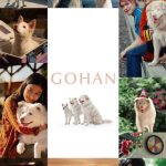 دانلود فیلم  گوهان Gohan 2026 با دوبله فارسی