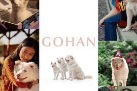 دانلود فیلم  گوهان Gohan 2026 با دوبله فارسی