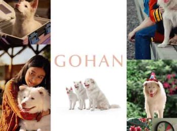دانلود فیلم  گوهان Gohan 2026 با دوبله فارسی